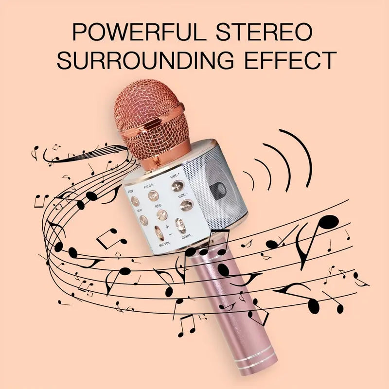 Portable BT Wireless Karaoke Microphone Speaker