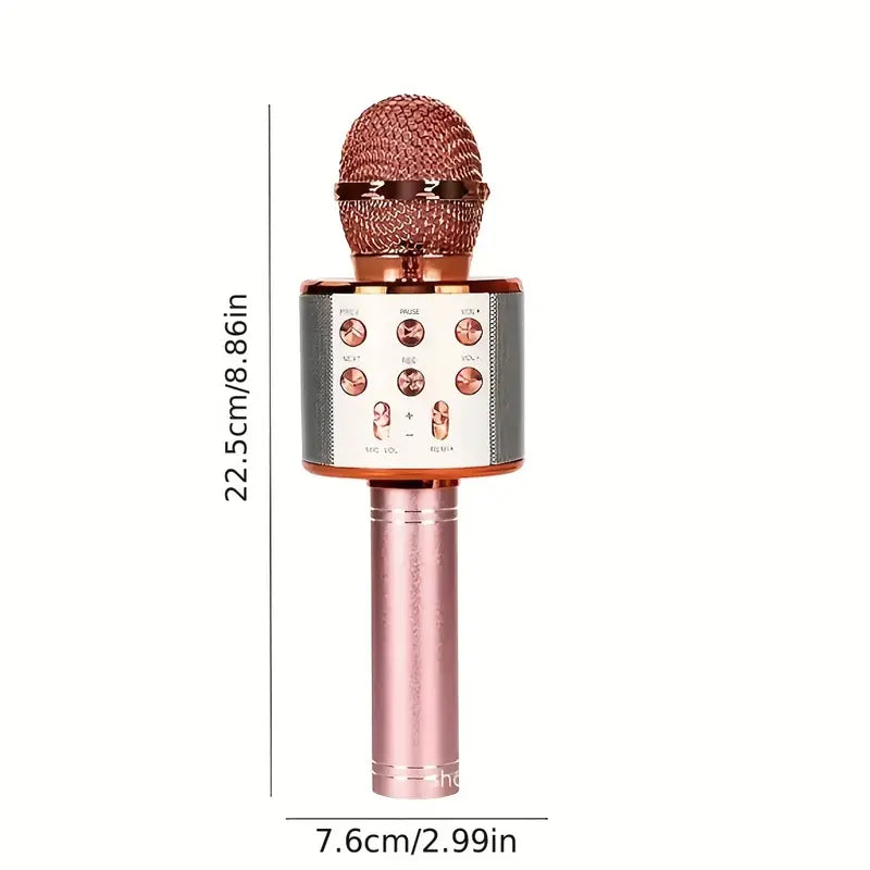 Portable BT Wireless Karaoke Microphone Speaker